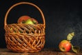 Ripe apples in a wicker basket on an old wooden table against a background of black plaster. side view. autumn conceptual dark Royalty Free Stock Photo