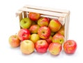 Ripe apples in wooden crate