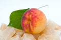 Ripe apricot Royalty Free Stock Photo