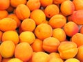 Ripe apricot fruit