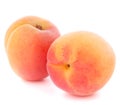 Ripe apricot fruit Royalty Free Stock Photo