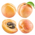 Ripe apricot fruits and apricot slice. Clipping path. Royalty Free Stock Photo