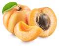 Ripe apricot fruits with a leaf. File contains clipping path Royalty Free Stock Photo