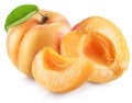 Ripe apricot fruits with a leaf. File contains clipping path Royalty Free Stock Photo