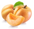 Ripe apricot fruits with a leaf. File contains clipping path