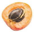 Ripe apricot`s cross section with apricot seed in it. Clipping p Royalty Free Stock Photo