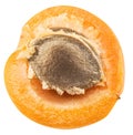 Ripe apricot`s cross section with apricot seed in it. Clipping p Royalty Free Stock Photo