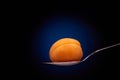 Ripe apricot on a spoon. Royalty Free Stock Photo