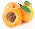 Ripe apricots with apricot leaf on the white background Royalty Free Stock Photo