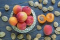 Ripe apricots and apricot stones on dark rustic table