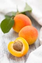 Ripe apricots.