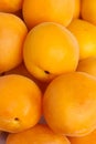 Ripe apricots fruit background