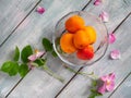 Ripe apricots in a glass vase and sprigs of blooming rose hips on a wooden blue table Royalty Free Stock Photo