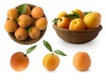 Ripe apricots isolate on a white. Two bowls with apricots with leaves isolated on white background. Ripe apricots with copy space Royalty Free Stock Photo