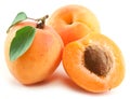 Ripe apricots isolated on the white background.