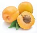 Ripe apricots with leaves isolated on white background Royalty Free Stock Photo