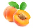 Ripe apricots with vibrant green leaves isolated on white Royalty Free Stock Photo