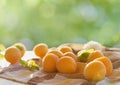 Ripe apricots on wooden table with nature background Royalty Free Stock Photo