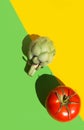 Ripe artichoke red tomato on duotone yellow green background. Hard light harsh shadows. Trendy funky minimalist style. Creative Royalty Free Stock Photo