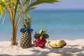 Ripe pineapple and pink dragon fruit in sunglasses and fresh durian on tropical beach near sea