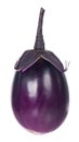 Ripe aubergine