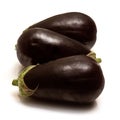 Ripe aubergines or egg plants Royalty Free Stock Photo