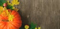 Ripe autumn pumpkin with leaves and apples on wooden table. Harvest festival. Thanksgiving Day. Banner for sale or greeting card. Royalty Free Stock Photo