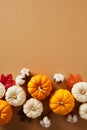 Ripe autumn pumpkins, cotton, maple leaves on pastel brown background. Aesthetic minimal fall composition. Happy Thanksgiving