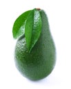 Ripe avocado with leaf on white.