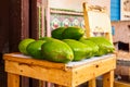 Ripe Avocados in Cuba Royalty Free Stock Photo