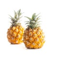 Ripe baby pineapple. Mini pineapple isolated on white background