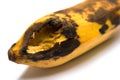 Ripe banana bited by insect