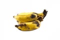 ripe banana bunch Royalty Free Stock Photo