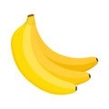Ripe banana bunch, vector illustration Royalty Free Stock Photo