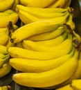 Ripe banana ready to eat. Yellow fruit