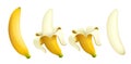 Ripe banana. Set of Tropical fruit. Vector illustration. Royalty Free Stock Photo