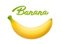 Ripe banana. Tropical fruit. Vector illustration. Royalty Free Stock Photo