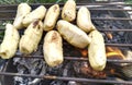 Ripe bananas grilled on the grill Royalty Free Stock Photo