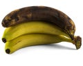 bunch of ripe bananas with one black rotten banana Royalty Free Stock Photo