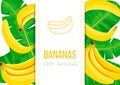 Ripe Bananas and palm leaves with text 100 percent natural. Vertical stripe label. Vector illustration with tropic motif Royalty Free Stock Photo