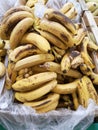 Ripe banannas on a supermarket Royalty Free Stock Photo