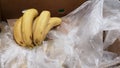 Ripe banannas on a supermarket Royalty Free Stock Photo