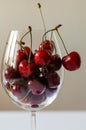 Ripe beautiful delicious cherries in a glass. Bright background