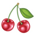 Ripe beautiful red berry. Juicy tasty, sweet cherry, a source of useful vitamins and trace elements. Vector illustration