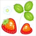 Ripe beautiful red berry. Juicy tasty, sweet strawberry, a source of useful vitamins and trace elements. Vector illustration