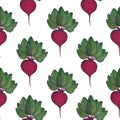 Ripe beet seamless pattern with green leaves on a white background. Root vegetable. Harvesting, farming. Watercolor illustration.