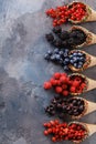 Ripe berries blueberries, raspberries, currants, blackberries Royalty Free Stock Photo