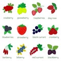 Ripe berries collection set, twelve icon elements on a white background with text. For your design cards, scrapbooking Royalty Free Stock Photo