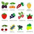 Ripe berries collection set, twelve icon elements on a white background with text. For your design cards, scrapbooking