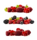 Ripe berries and fruits isolated on white background.Juicy and delicious raspberries, currants, blackberries, gooseberries. Mixed Royalty Free Stock Photo